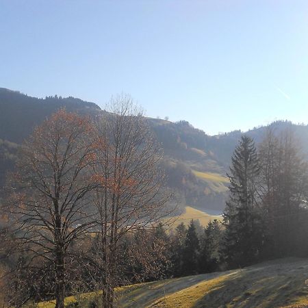 Chalet In Niederndorf Near Kufstein With Balcony Niederndorferberg Kültér fotó